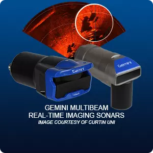 Gemini Real-Time Multibeam Imaging Sonars