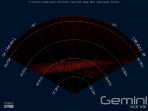 Gemini Making Waves in Brazil
