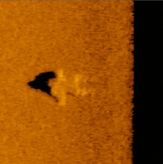 Tritech's StarFish Sets the Standard in Search & Rescue