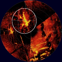 Tritech Hammerhead offers Search Benefits 