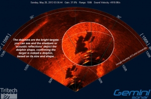 Gemini SeaTec - Marine Object Tracking and Target Detection