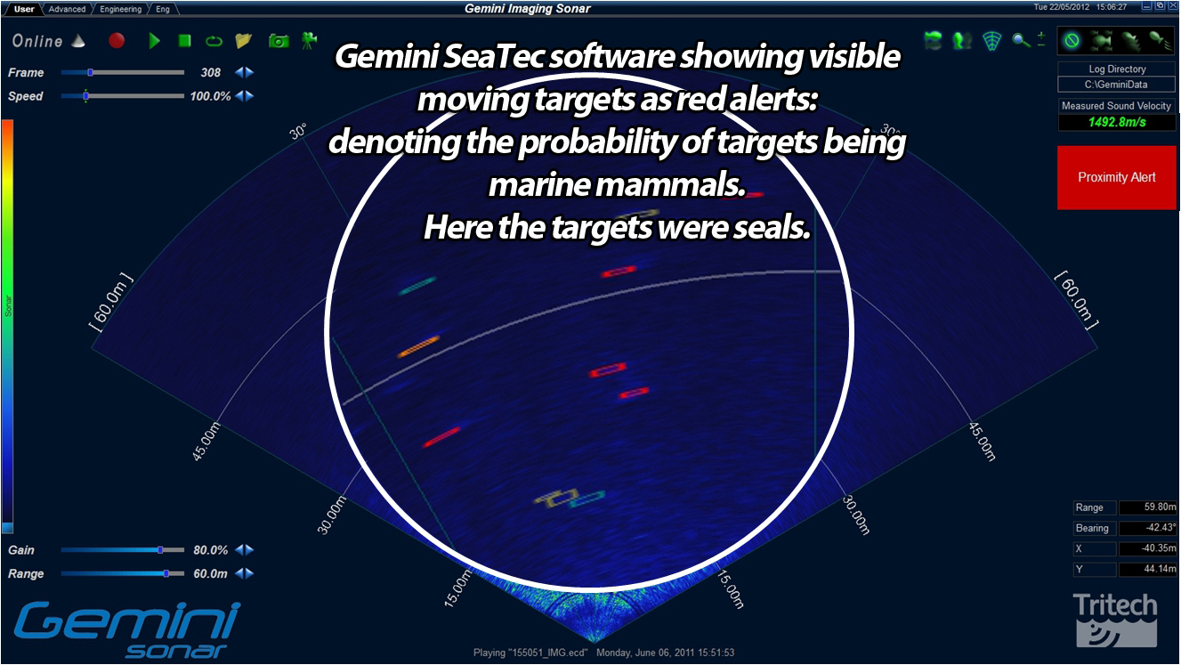 Gemini Mammal Detection Software Screen